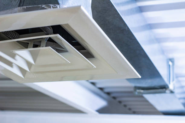 Best HVAC Air Duct Cleaning  in Williamson, WV