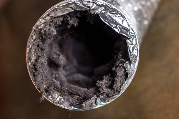 Best Home Air Vent Cleaning  in Williamson, WV