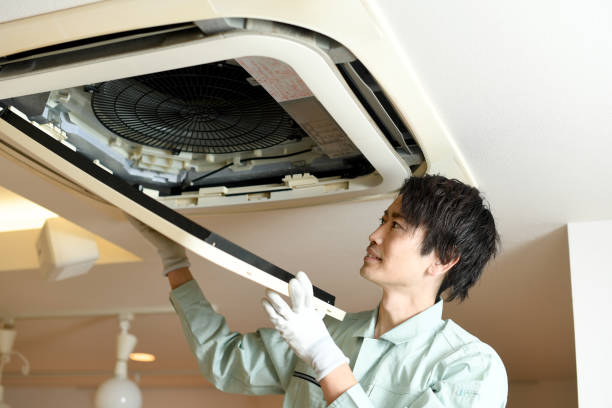 Best Local Air Duct Cleaning Services  in Williamson, WV