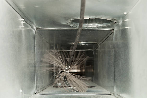 Best Affordable Air Duct Cleaning  in Williamson, WV