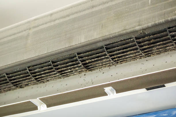 Best Best Air Duct Cleaning Company  in Williamson, WV