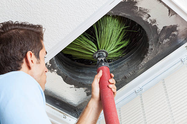 Best Air Vent Cleaning Services  in Williamson, WV