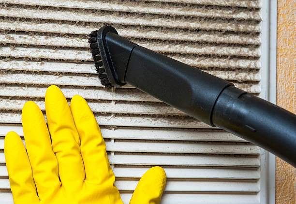 Best HVAC System Cleaning  in Williamson, WV
