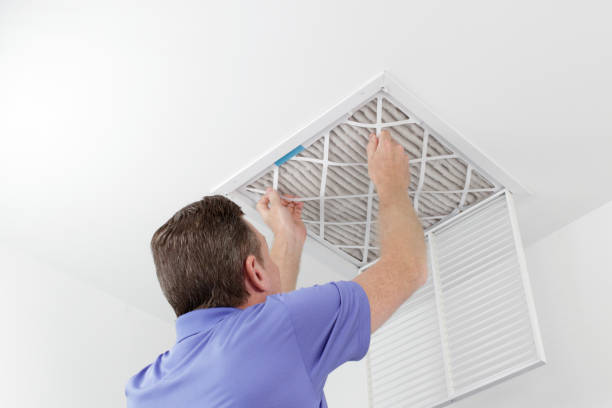 Best Affordable HVAC Duct Cleaning  in Williamson, WV